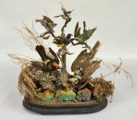 A MOUNTED TAXIDERMY STUDY, 6 EXOTIC BIRDS IN NATURALISTIC SETTING, NO DOME.