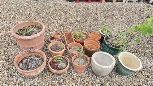 A GROUP OF ASSORTED TERRACOTTA PLANTERS.