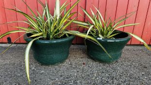 A PAIR OF GREEN GLAZED POTTERY PLANTERS CONTAINING PHORMIUMS.