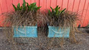 A PAIR OF GLAZED POTTERY PLANTERS CONTAINING COPPER GRASSES AND CALLA LILYS.