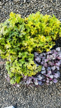 Antiques,& Collectibles, Jewellery, Modern Furnishings, Electronics, Household Effects and more