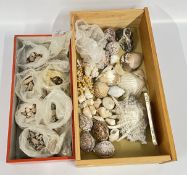 2 X BOXES OF SHELLS AND FOSSILS.