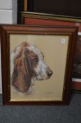 Truda Panet, Jasper, portrait of a bloodhound, signed.