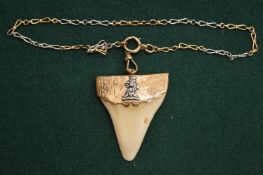 A 15ct gold mounted pendant with chain.