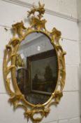 A carved gilt wood oval mirror with pierced frame.