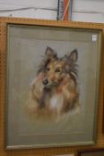 Robert Sharpe, portrait of a collie dog, pastel.