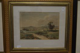 Tom Smith, rural landscape with grazing sheep, watercolour, signed.