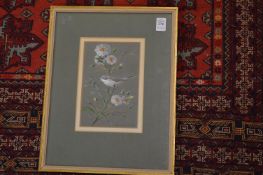 Donald Watson, a study of a Lesser White Throat on a branch, signed and dated 1967.