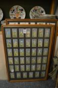Cigarette cards framed and glazed.