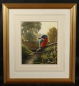 ADRIAN P. RIGBY. Kingfisher. Signed. 12