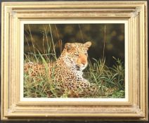 STEPHEN PARK (b. 1953) BRITISH. Cheetah. Signed, oil on board. 11.5