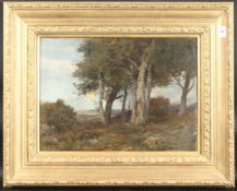 George Faulkner Wetherbee (1851-1920)Dusk through Trees, oil on canvas board, 13