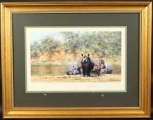 DAVID SHEPHERD. HOT POTAMI. Colour Print. Signed. 767/850. Image 9