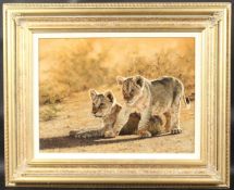 STEPHEN PARK (b. 1953) BRITISH. Two Lion Cubs. Signed, oil on board. 11.5