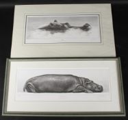 GARY HODGES (b. 1954) BRITISH. Hippo, signed, 803/950, unframed and Tropical Slumber, signed, 291/