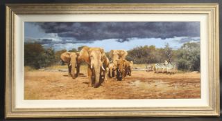STEPHEN PARK (b. 1953) BRITISH. Elephants and Zebra. Signed, oil on board. 45 x 102cms. Framed.