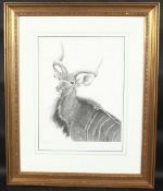 GARY HODGES (b. 1954) BRITISH. Greater Kudu. Signed. 696/850. Image 14.5