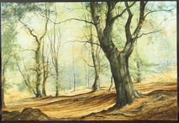 MERVYN GOODE (b. 1948) BRITISH. The Beech Tree, a Woodland Slope, Autumn, Odiham Wood. Signed. Oil