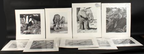 CLIVE MEREDITH. A folder of World Wildlife edition prints (10).