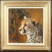 STEPHEN PARK (b. 1953) BRITISH. Cheetah. Signed, oil on board. 15.5