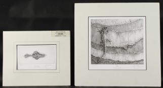 GARY HODGES (b. 1954) BRITISH. Gecko, signed, 273/550 and Young Caiman, signed, 738/850. Unframed.