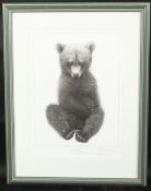 GARY HODGES (b. 1954) BRITISH. Sitting Pretty. Signed. 1071/1250. Image 12