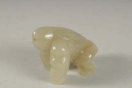 A RUSSIAN CARVED JADE GORILLA with diamond eyes. 3ins, in a fitted box.