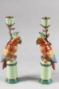 A PAIR OF PORCELAIN PARROT CANDLESTICKS. 11.5ins high.