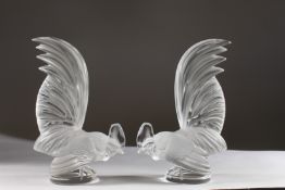 A GOOD PAIR OF LALIQUE GLASS COCKERELS on circular bases. Engraved Lalique, France. 8.5ins high.