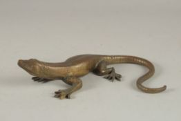 A CAST BRONZE LIZARD. 25cms long.