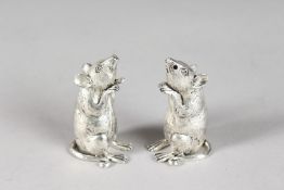A PAIR OF SILVER PLATED MICE SALT AND PEPPERS.