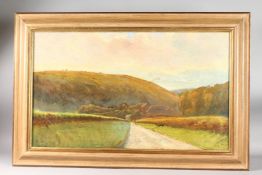 N. S. Landscape with a pathway. Monogrammed. Oil on canvas. 18ins x 30ins.