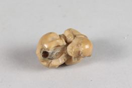A JAPANESE CARVED NETSUKE OF A COILED ANIMAL, 4cm.