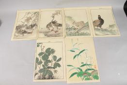 KEINEN IMAO (1845-1924), MASAHARU INOUE (act. early 20th century): BIRDS AND FLOWERS; four