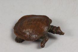 A BRONZE OKIMONO OF A TURTLE.