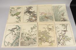 KEINEN IMAO (1845-1924): FROM THE SERIES OF KEINEN'S ALBUM OF BIRDS AND FLOWERS; eight original late