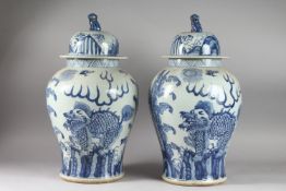 A VERY LARGE PAIR OF CHINESE BLUE AND WHITE PORCELAIN JARS AND COVER, decorated with dog of fo, 52cm