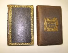 [SUSSEX] Excursions in the County of SUSSEX, 12mo, folding map, folding Chichester plan, frontis,