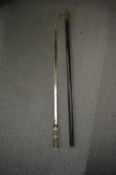 An Eastern sword stick.