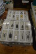 Five plastic cases containing numerous bugs and insects etc.