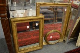 Three gilt framed mirrors.