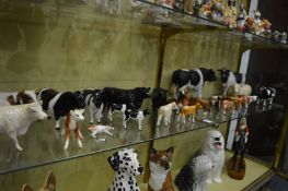 A good collection of Beswick and other models of bulls and cows.