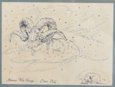 DIANA E BROWN (BRITISH b.1929) 'Marco Polo Sheep-Ovis Poli' ink with white heightening, signed