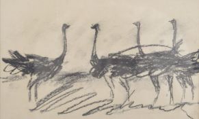 ARTHUR AZEVEDO (ZIMBABAWE b.1935) Ostriches, charcoal on paper 6.5