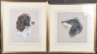 MICHELLE BENNETT OATES (1928-2009) Portriat of a Spaniel and the head of another hound, gouache on