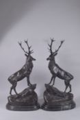 AFTER JULES MOIGNIEZ. A GOOD PAIR OF BRONZE STAGS on marble bases. 29ins high.