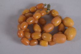 A HONEY AMBER BEAD NECKLACE. 16ins long.