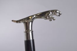 A WALKING STICK WITH JAGUAR HANDLE.