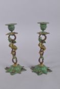 A PAIR OF NATURALISTIC FORM COLD PAINTED BRONZE CANDLESTICKS, entwined with a lizard. 11ins high.