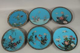 A COLLECTION OF SIX JAPANESE BLUE GROUND CLOISONNE ENAMELLED DISHES, depicting various flora and